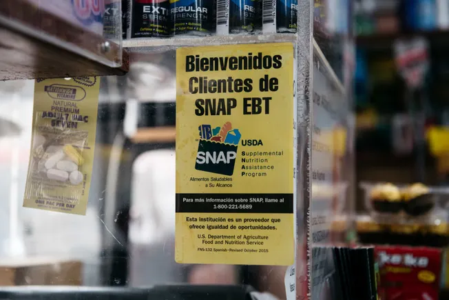 SNAP 注册人数下降:哪些州的降幅最大